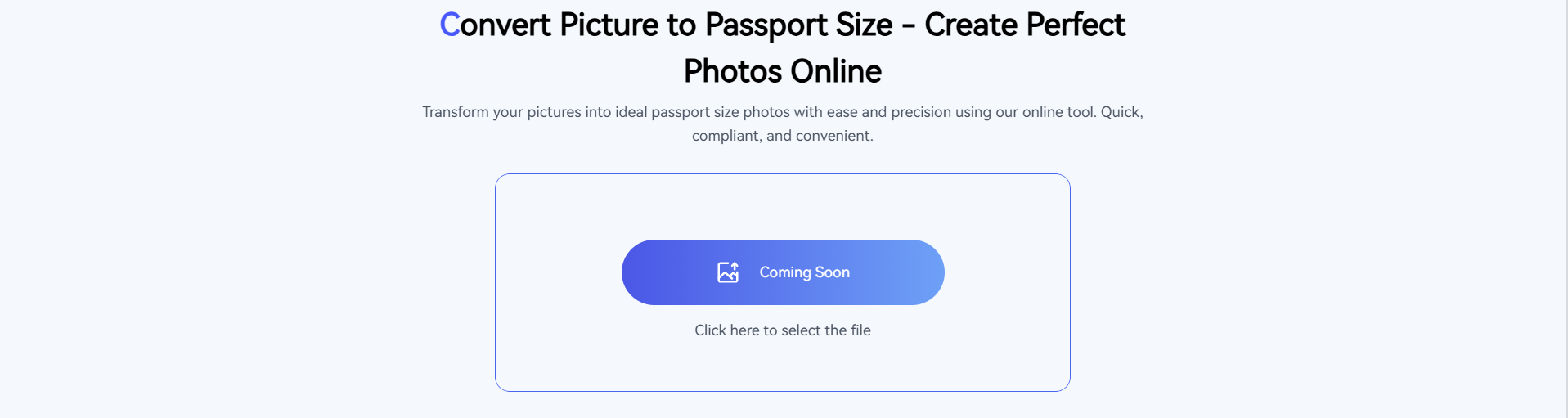 Convert picture to passport size online quick easy solution